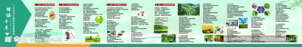 多样PPT模板展示