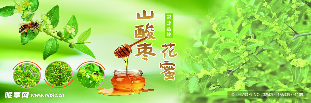 山间茶韵 清新自然之景