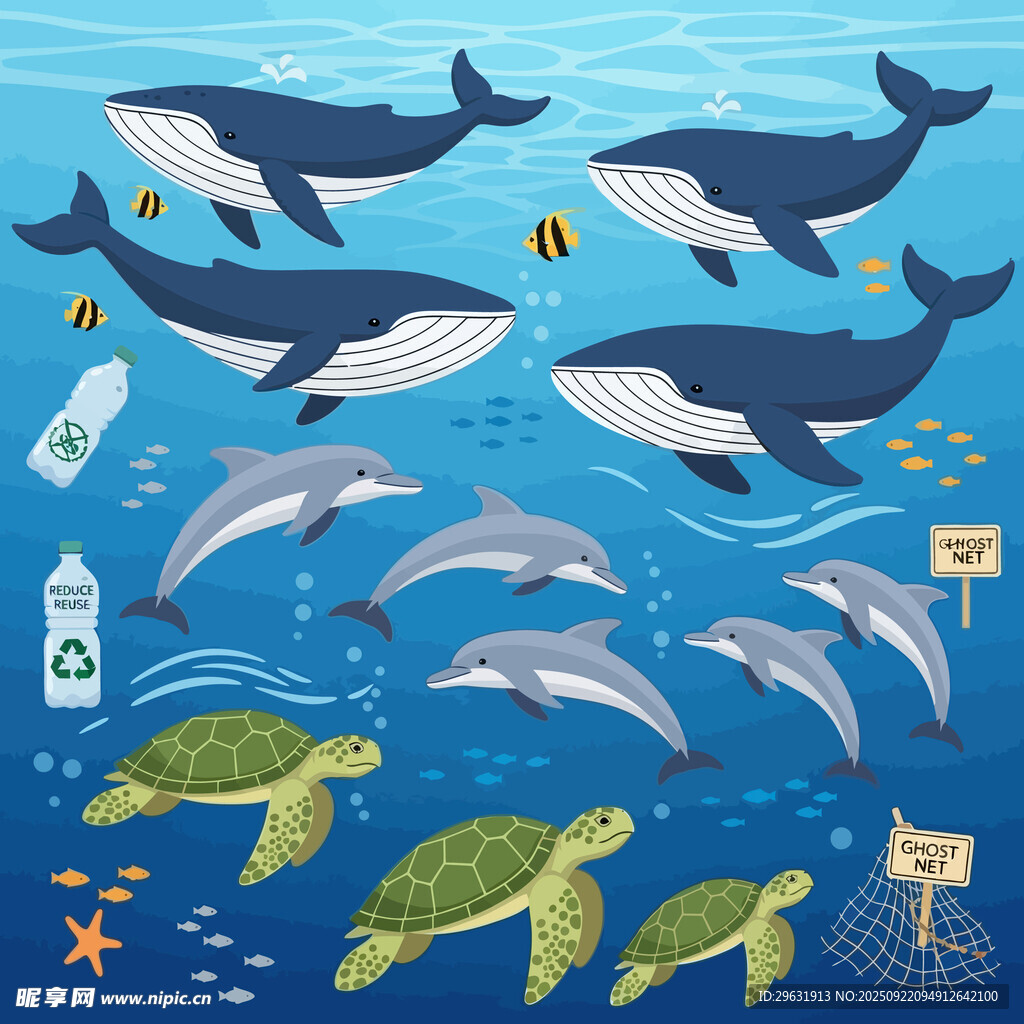 海洋生物插图
