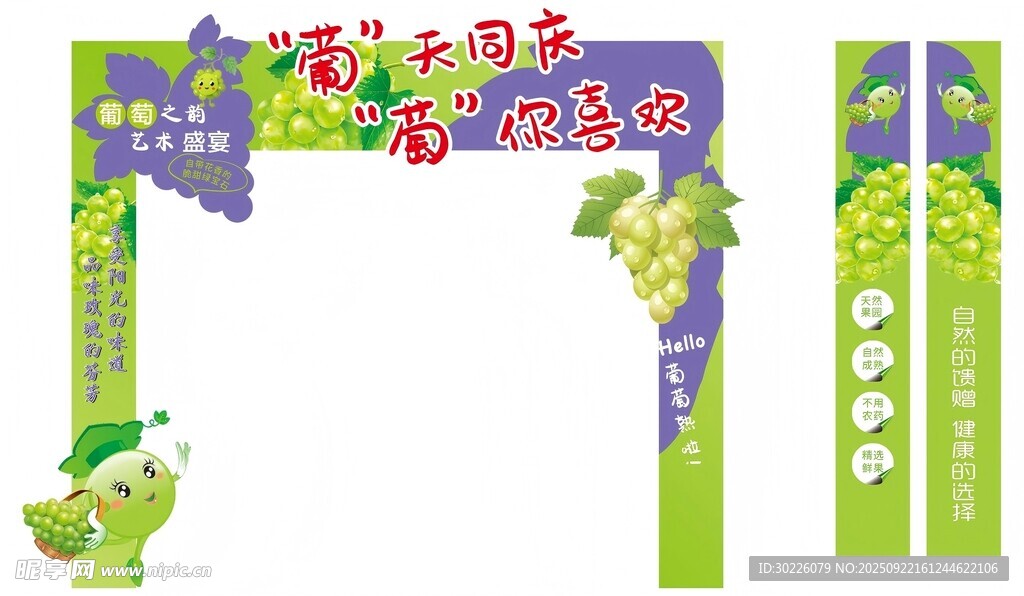 葡萄丰收季