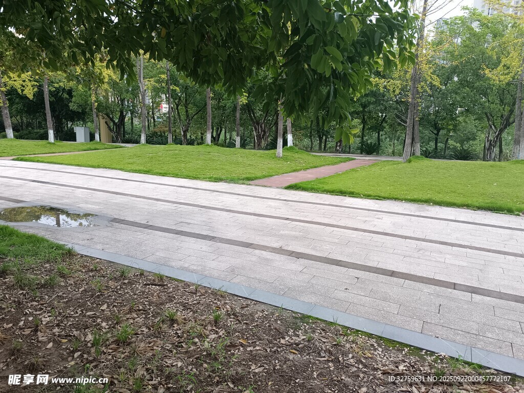 公园中的宁静步道