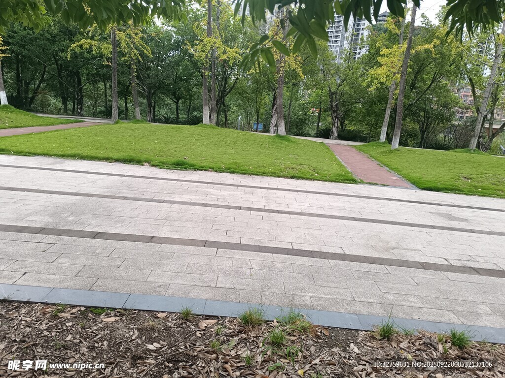 公园中的开阔步道与绿植