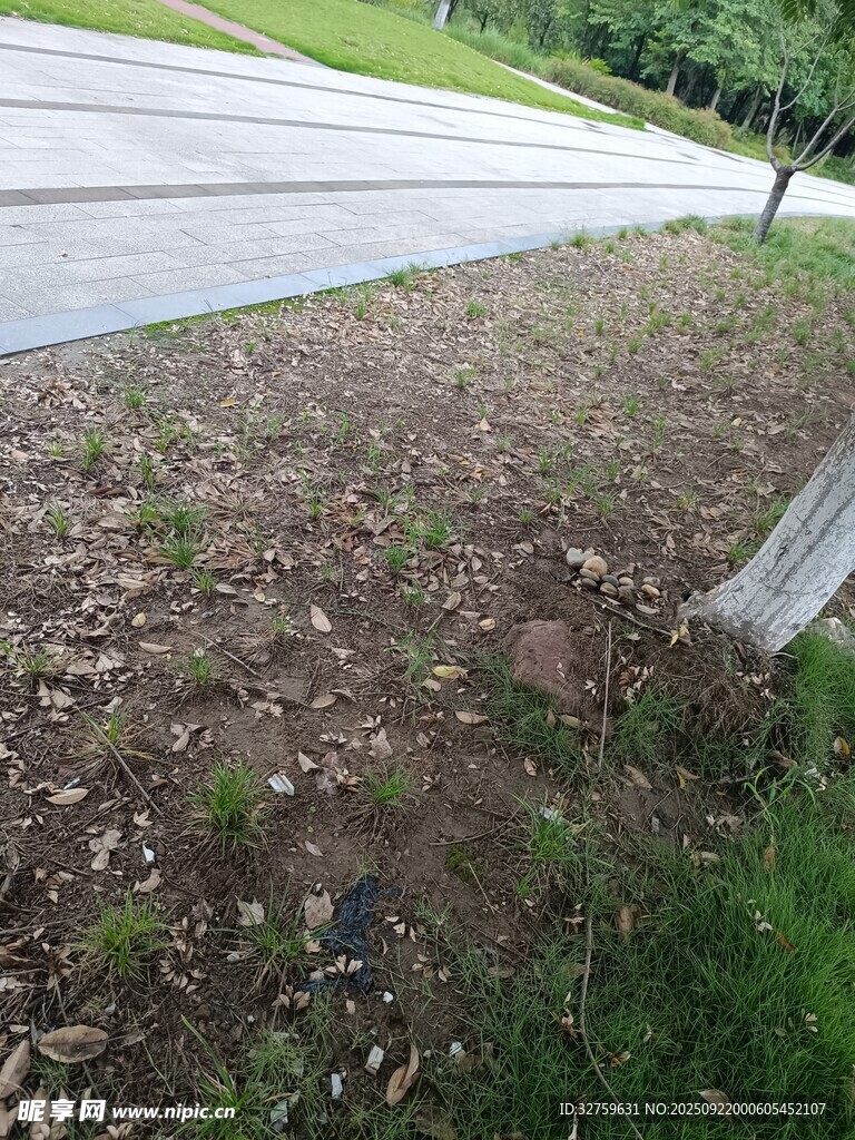 路边碎石泥土植被景观