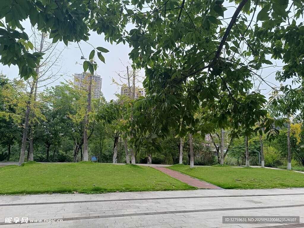 城市中的静谧绿意公园