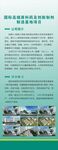 企业简介 展架 绿色