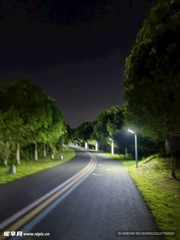 夜晚林间公路的静谧景象