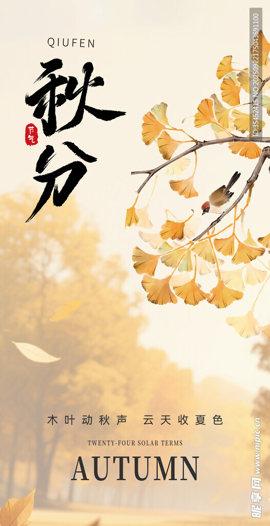 秋分