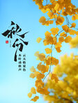 秋分