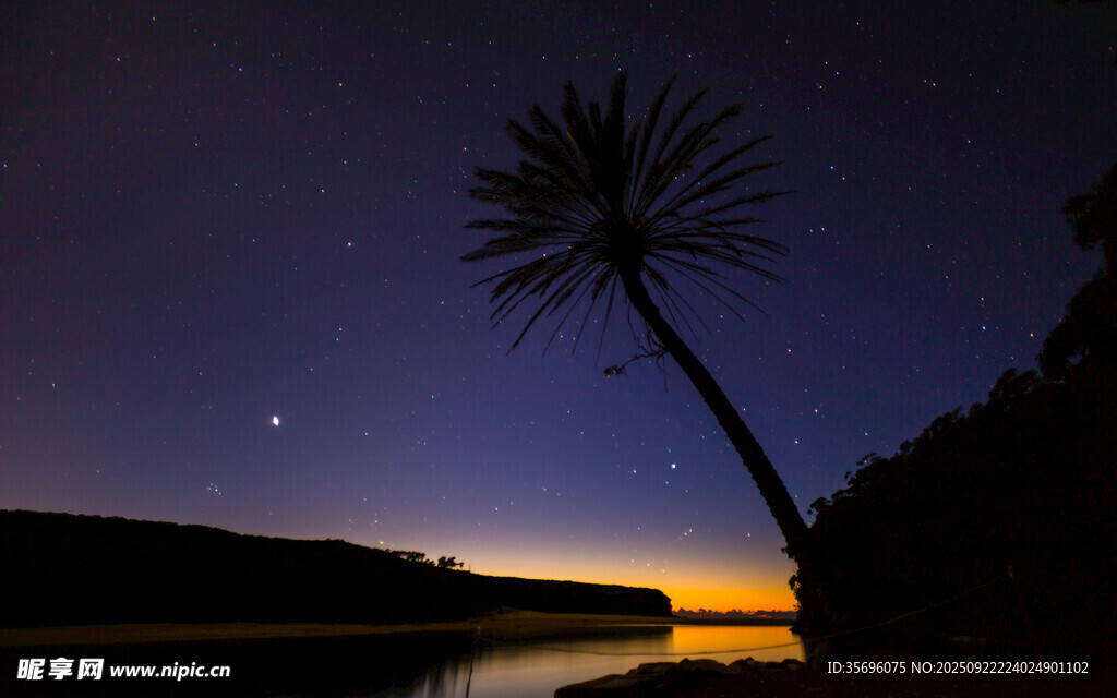 夜幕下的孤树与静谧湖景