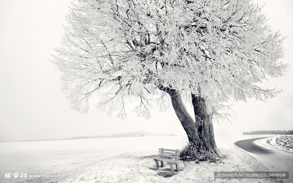 冬日孤树雪景