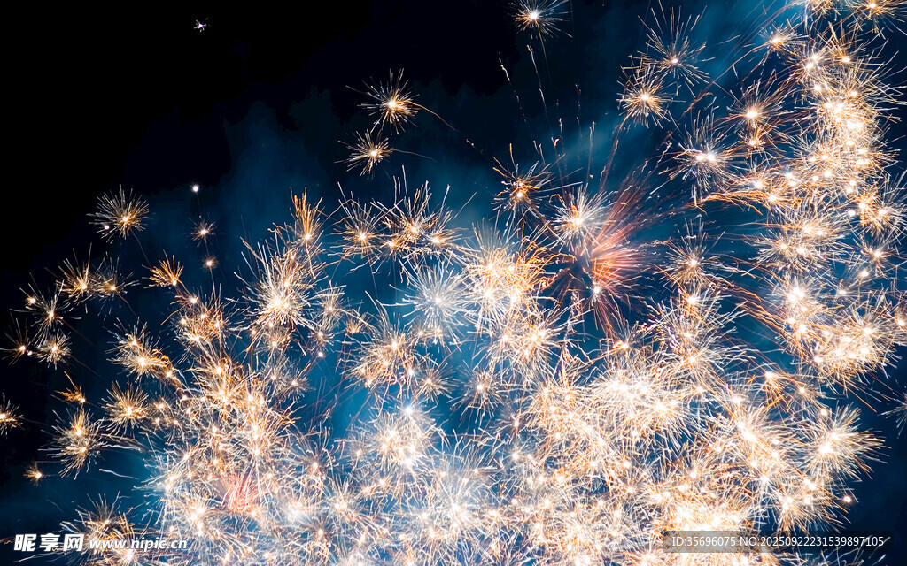 绚丽烟花绽放夜空