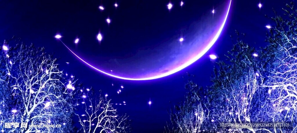 梦幻月夜下的冰雪森林