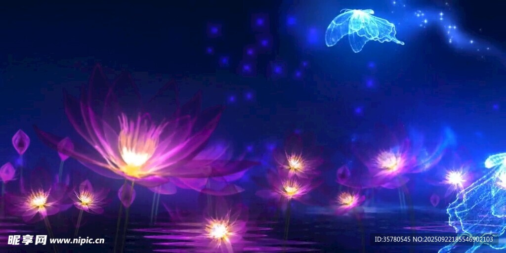 梦幻炫彩光影夜景画面