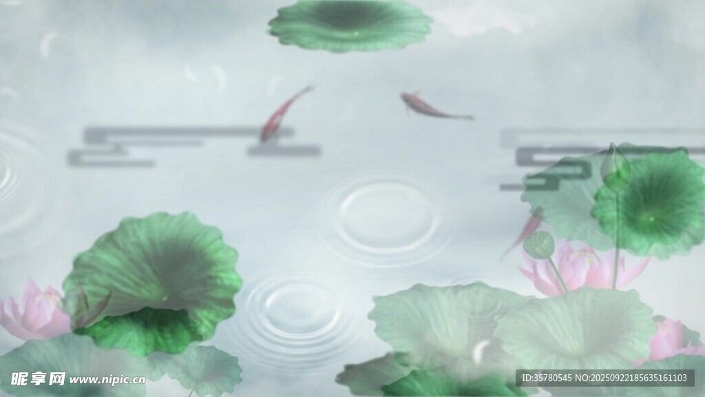 荷塘月色唯美视频