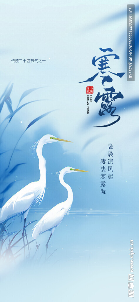 蓝白背景下的优雅白鹭