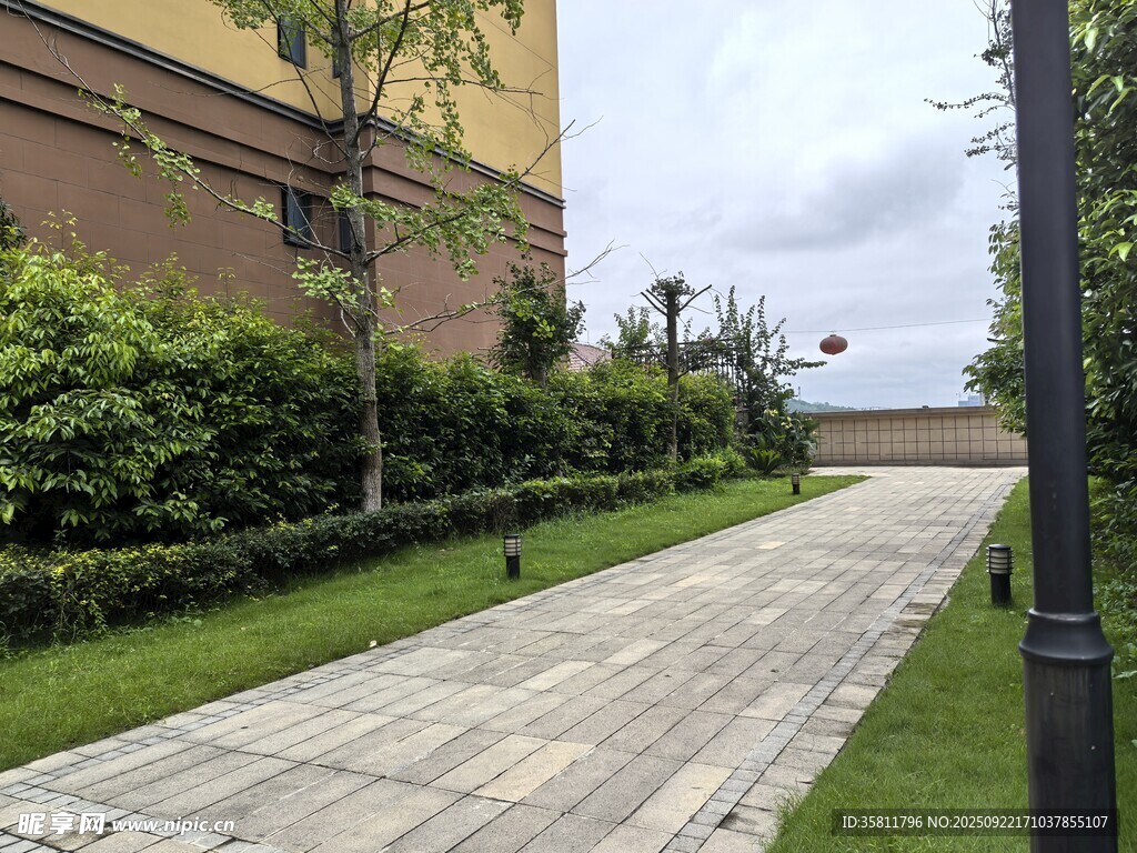 庭院石板小径绿植景观