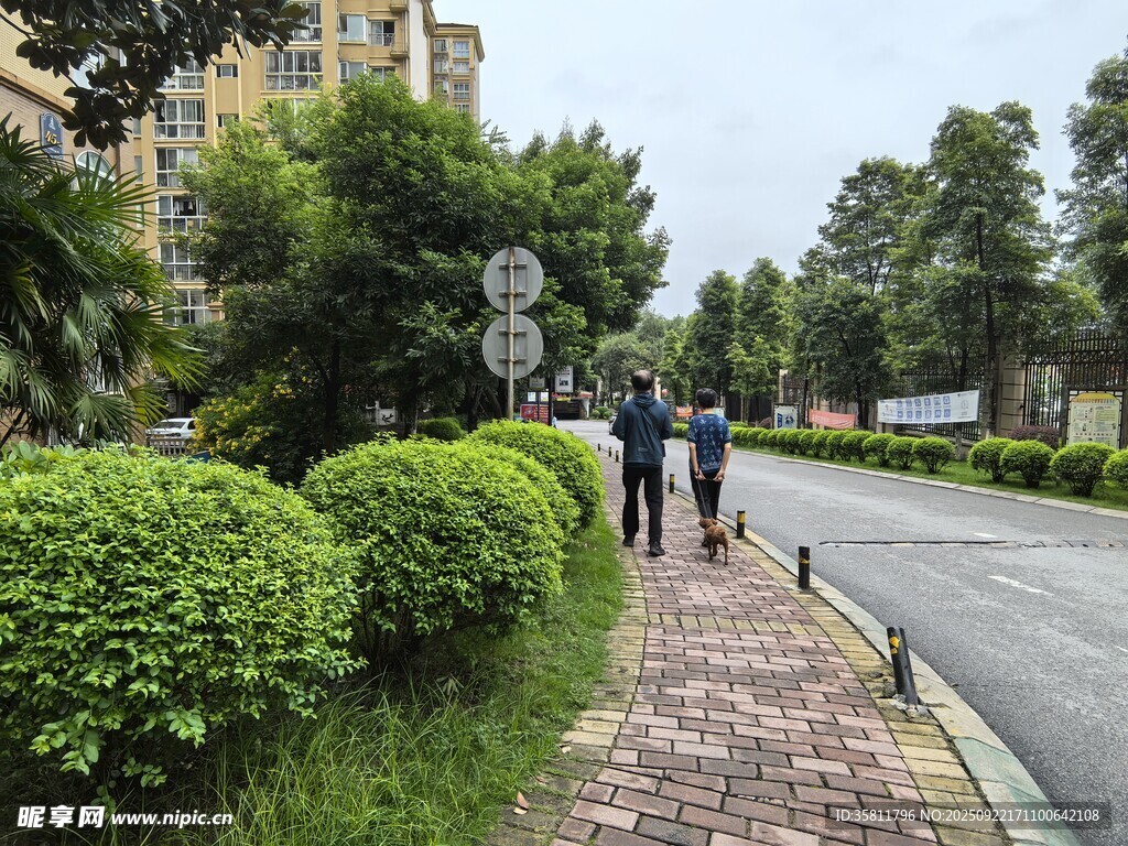 小区内的行人漫步景观道