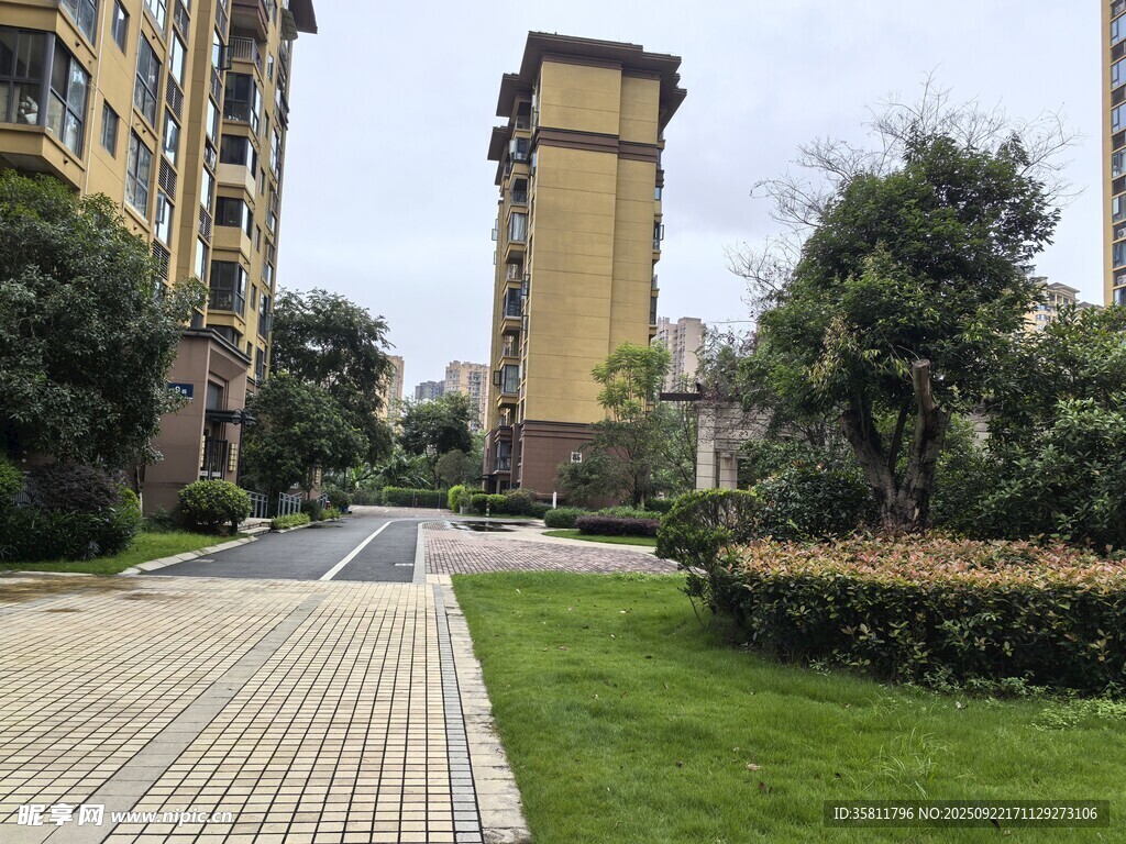 小区内的优美景观步道