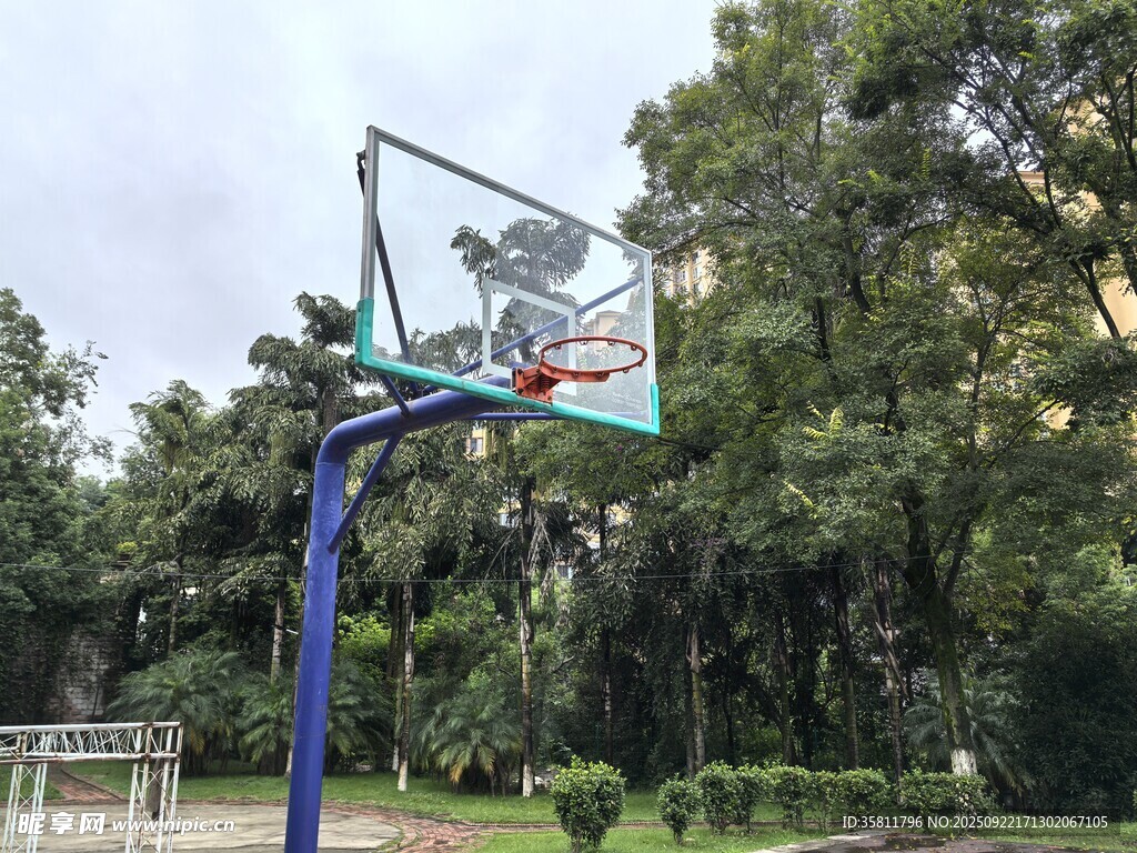 户外篮球架绿树环绕