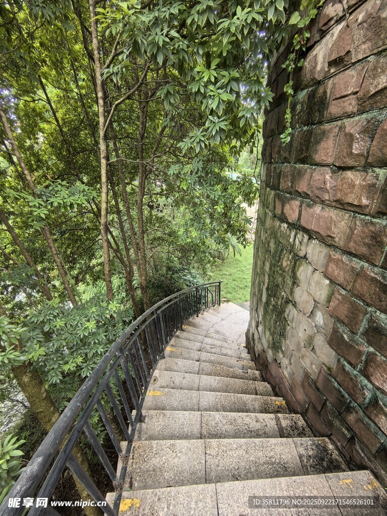 山林中的蜿蜒石阶小道