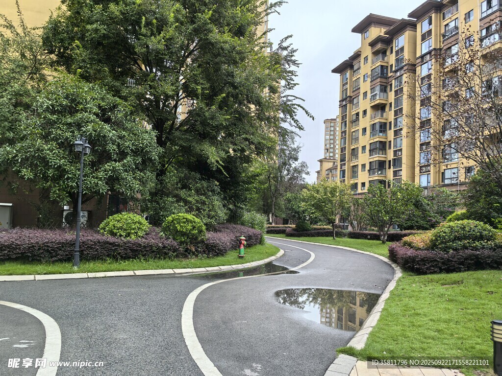 小区内整洁的道路景观