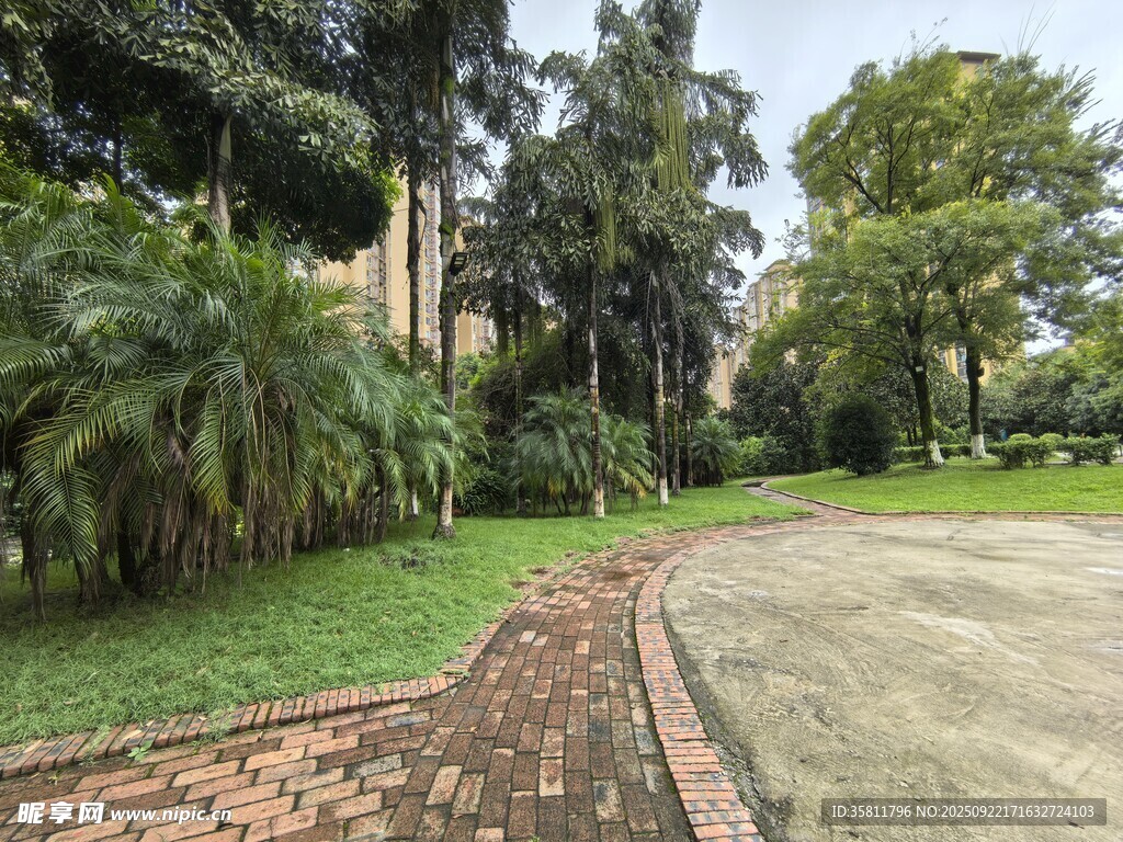 绿意盎然的户外园林景观