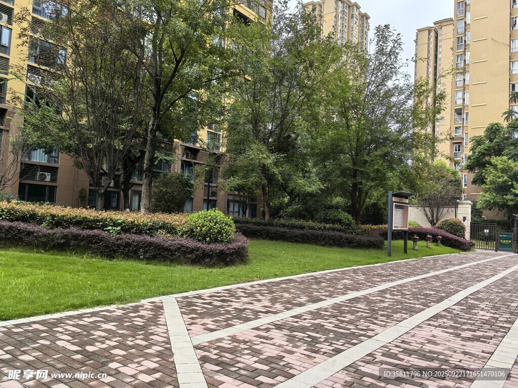 小区内的优美步道景观