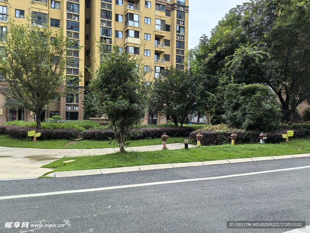 小区旁的道路与绿化景观