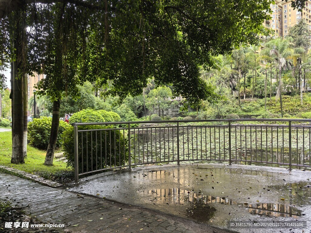 雨后公园的铁艺围栏景观