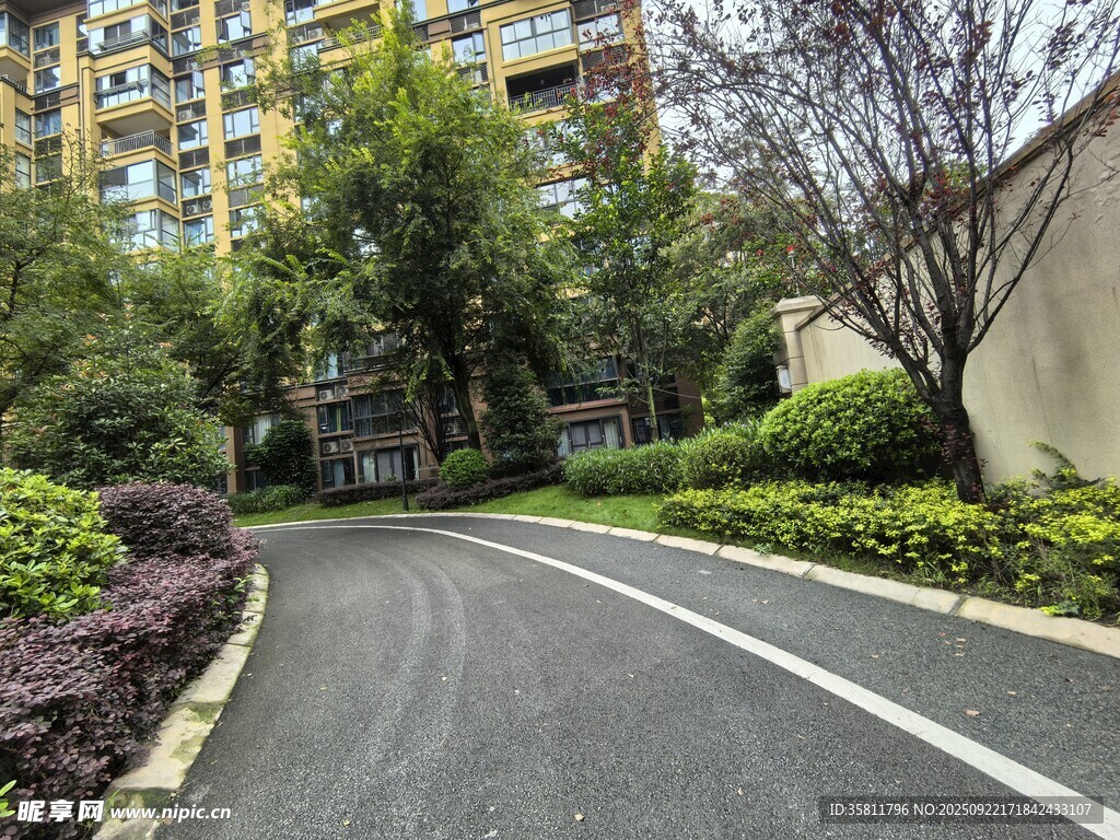 小区内的幽静道路景观
