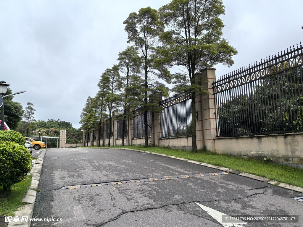 雨后空旷道路与绿植景观