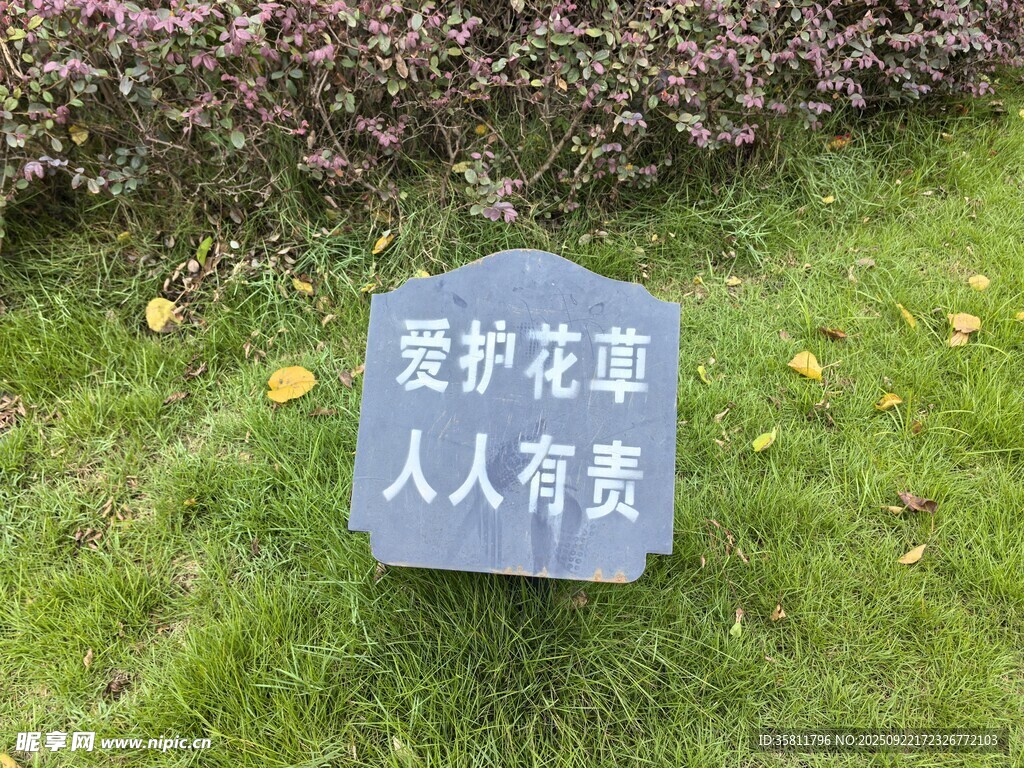 爱护花卉提示牌立在草地