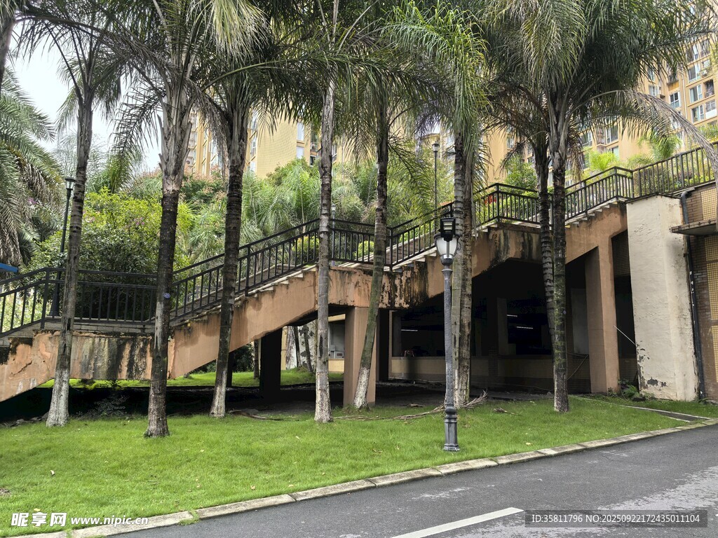 城市中葱郁树木环绕的建筑