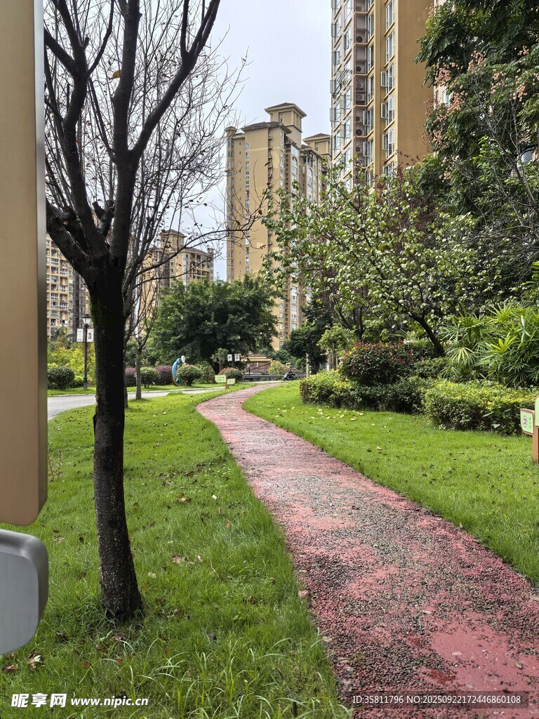 小区内的幽静步道