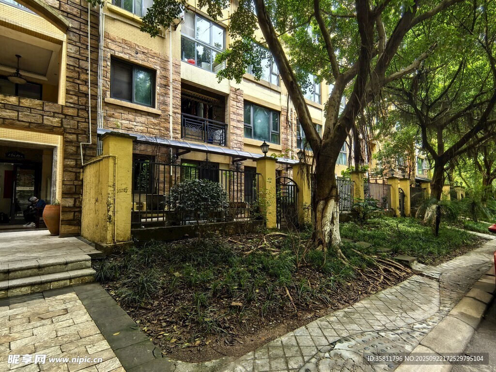 小区内绿树环绕的住宅楼