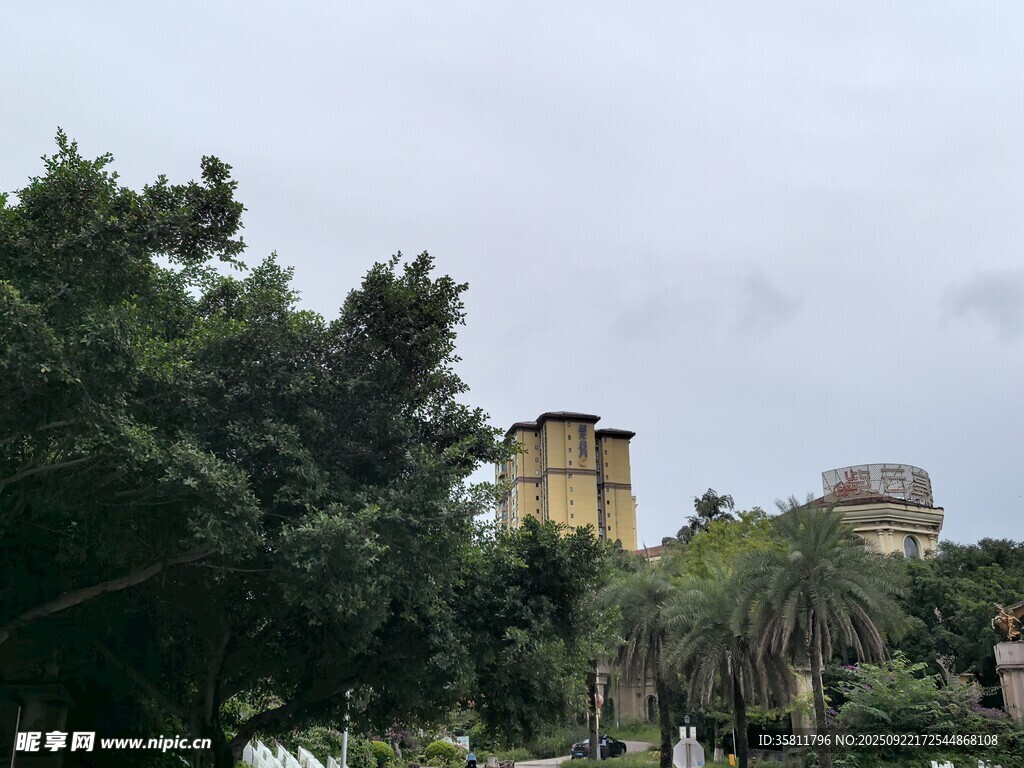 绿树环绕中的建筑景观