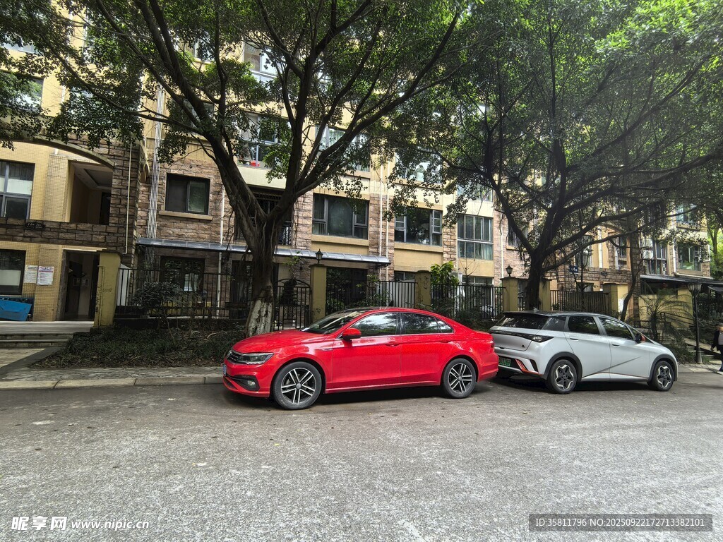 小区内停放的两辆轿车