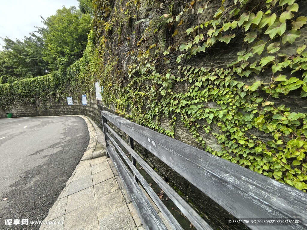 蜿蜒路旁覆满绿植的护栏