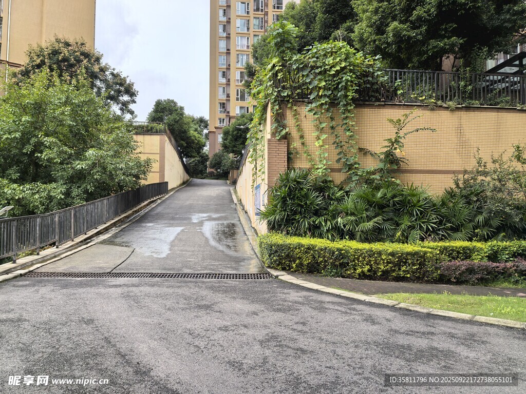 小区内幽静的道路景观