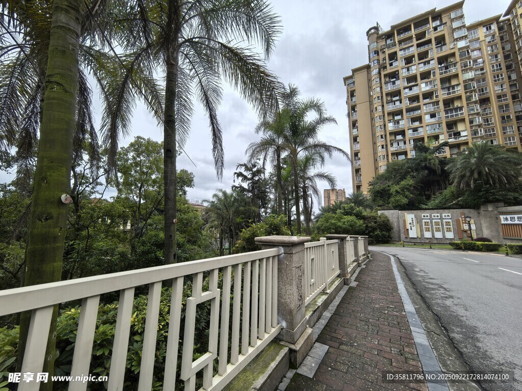 小区旁的林荫步道