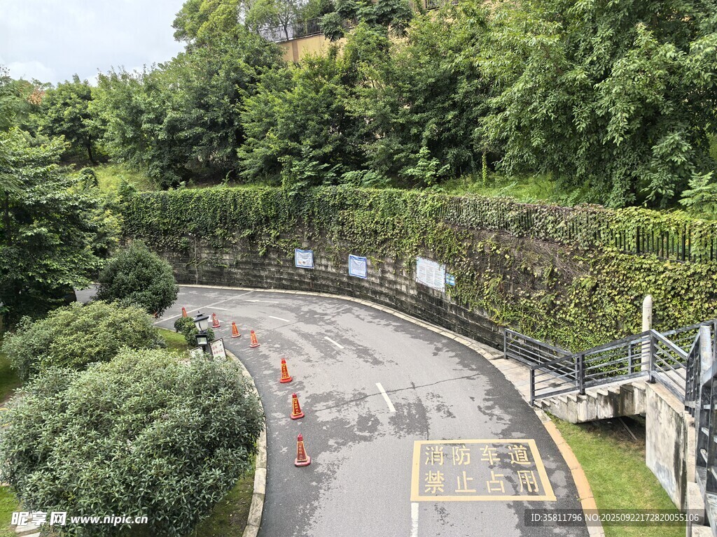 蜿蜒山间公路绿树环绕