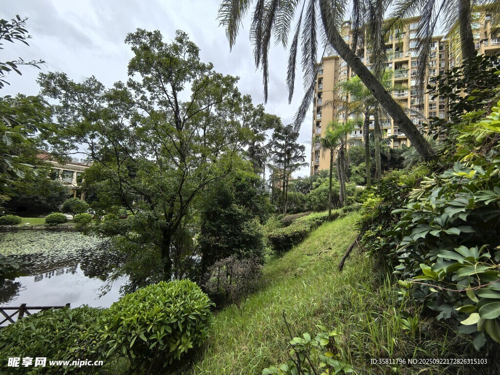 小区内的静谧园林景观