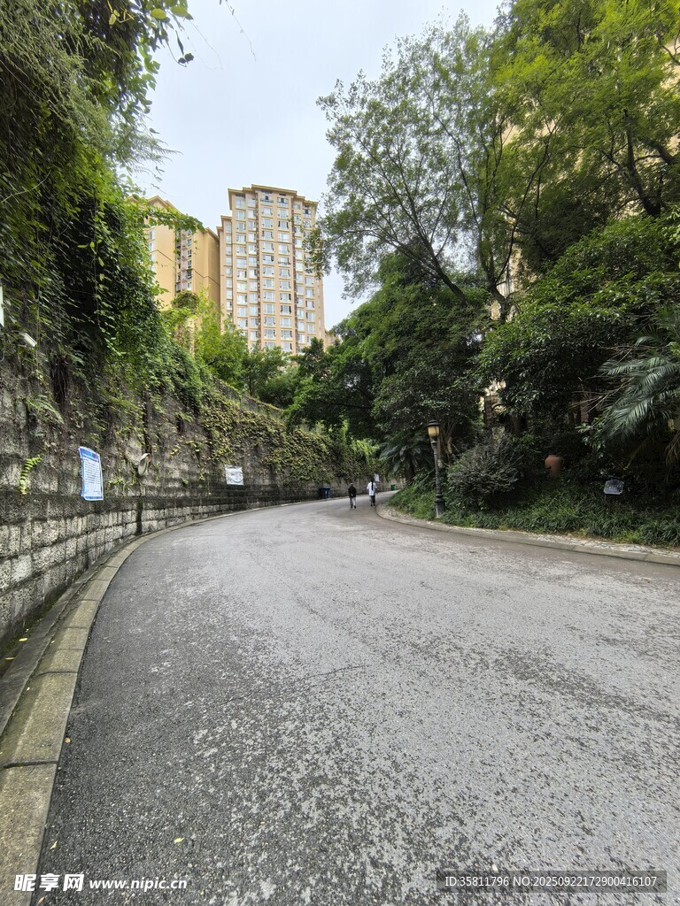 蜿蜒于绿树间的城市道路