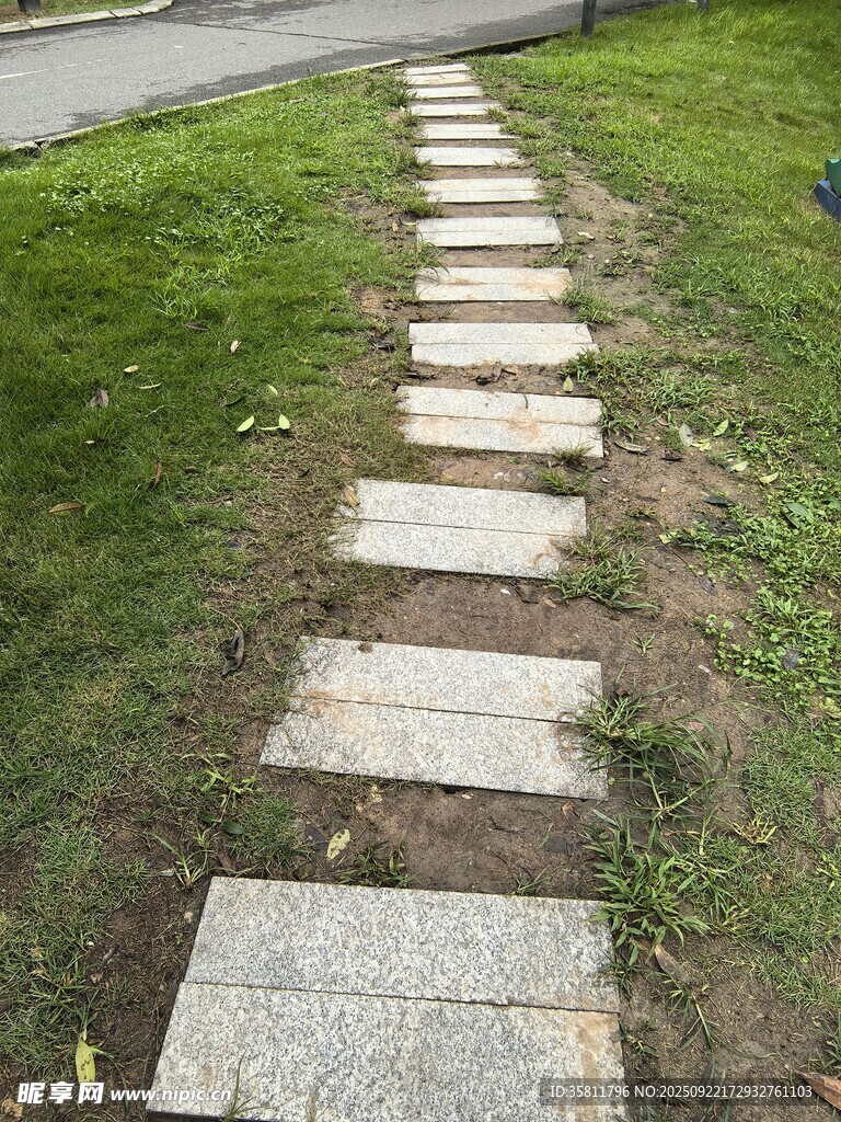 石板小径通往绿意草地