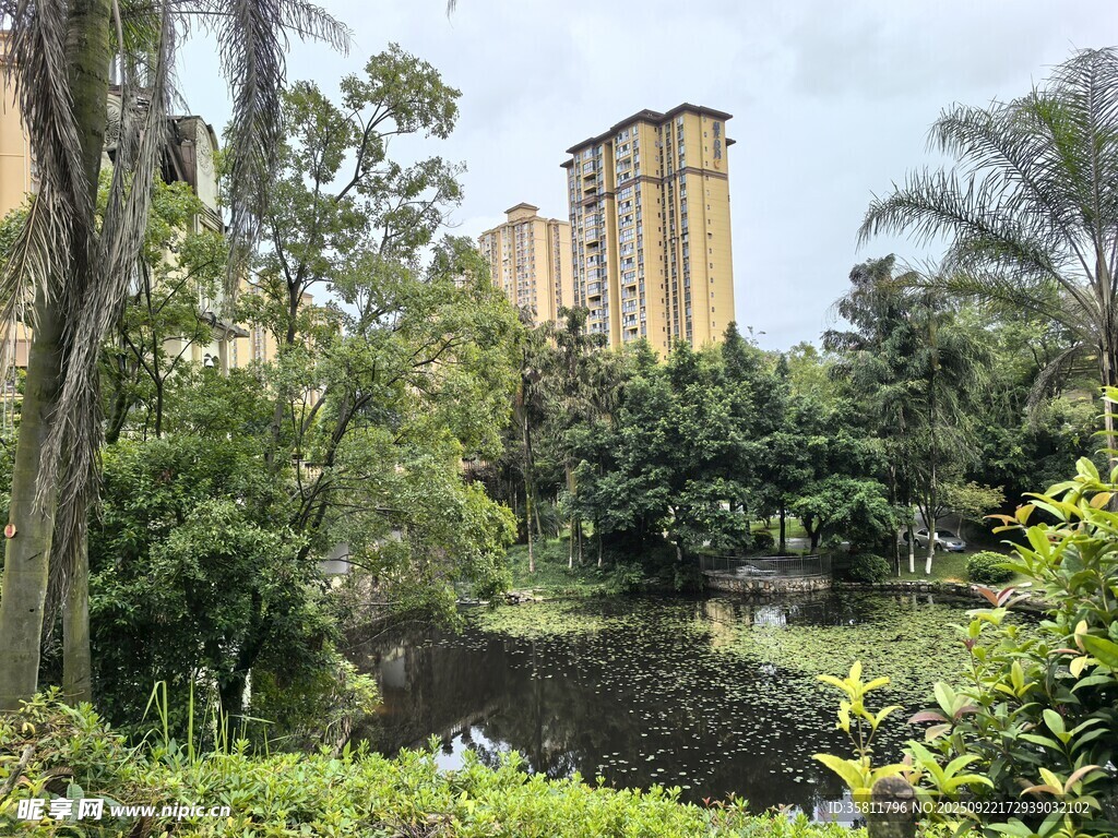 湖畔高楼与绿植景观