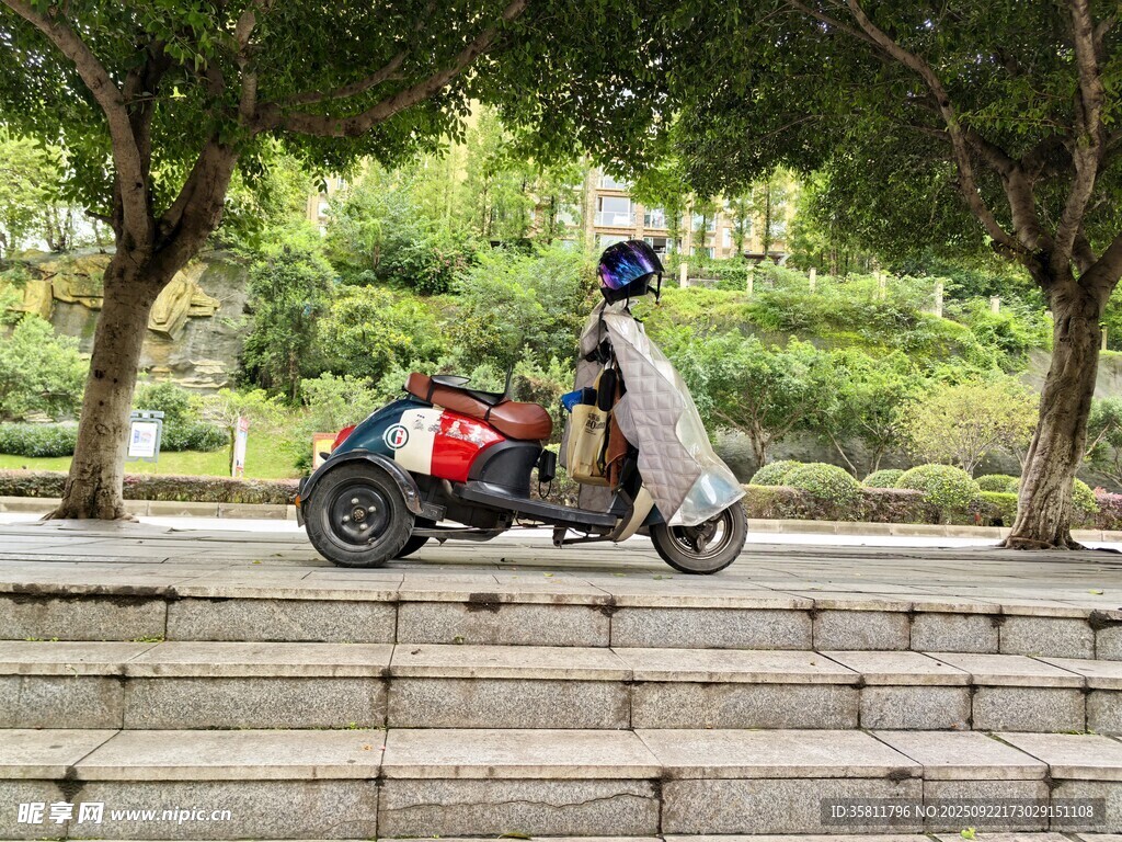 女子骑电动车穿行绿荫间
