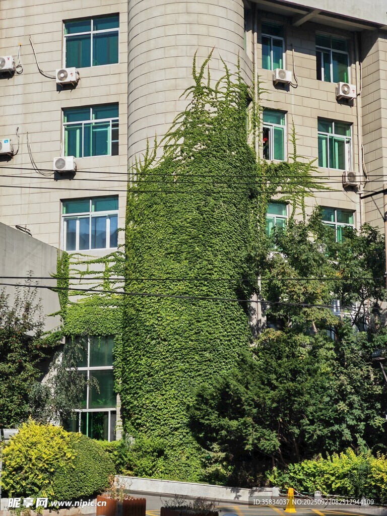 爬满绿植的多层建筑外观
