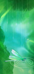 水面蜻蜓泛起圈圈涟漪