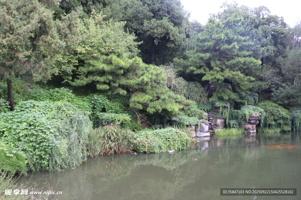 湖畔绿植环绕的静谧景致