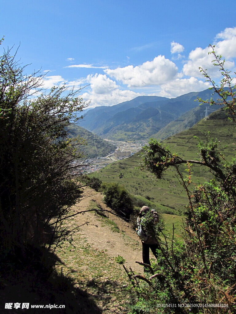 山间美景 绿意盎然的景致